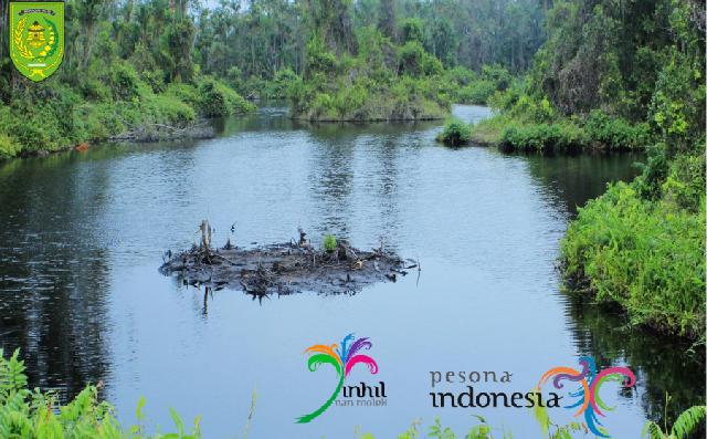 Pesona Danau Mablue di Pulau Basu: Surga Keunikan Alami dan Kehidupan Satwa Langka