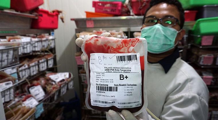 PMI: Kebutuhan Darah di Inhil Baru Terpenuhi 50 Persen