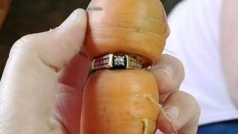 Cincin Kawin yang Hilang Ditemukan di Sebatang Wortel, Kok Bisa?