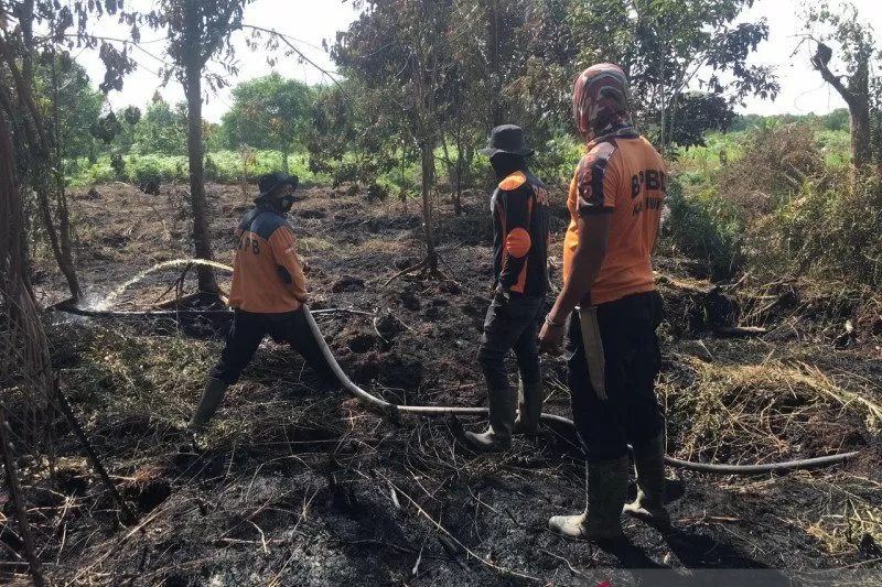 Empat Hektare Lahan Milik Warga Di Inhil Terbakar