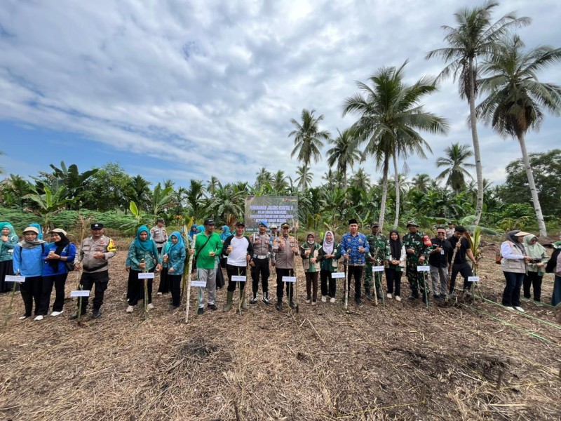 Lahan Milik Warga Pekan Kamis Disulap Jadi Sentra Jagung Baru