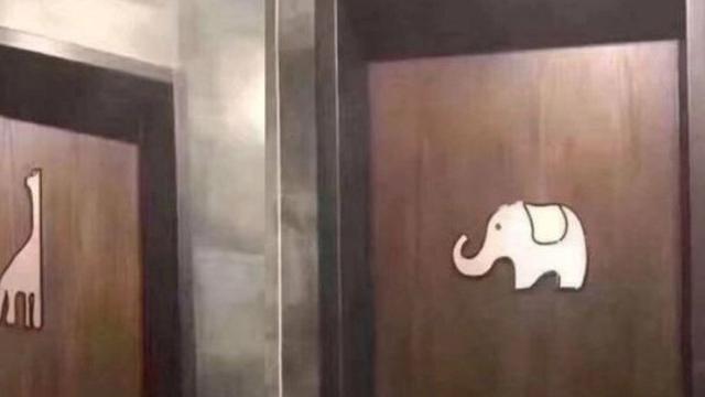 Toilet Ini Viral! Bingung Bedakan Mana yang untuk Wanita dan Pria