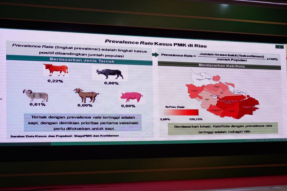 Ketua Satgas Imbau Satgas Daerah Fokus pada Vaksinasi PMK Dosis Pertama
