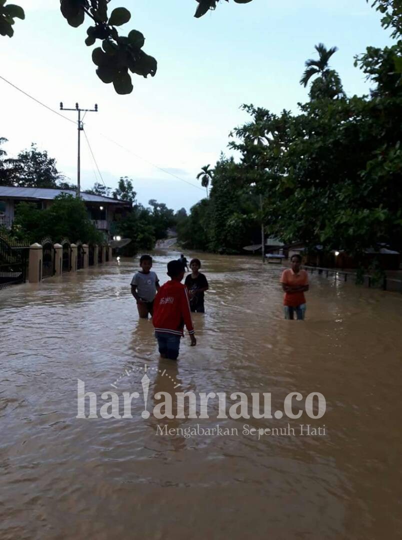 Perambahan Hutan Kuansing Akibatkan 2 Desa di Hulu Kuantan di Hantam Banjir