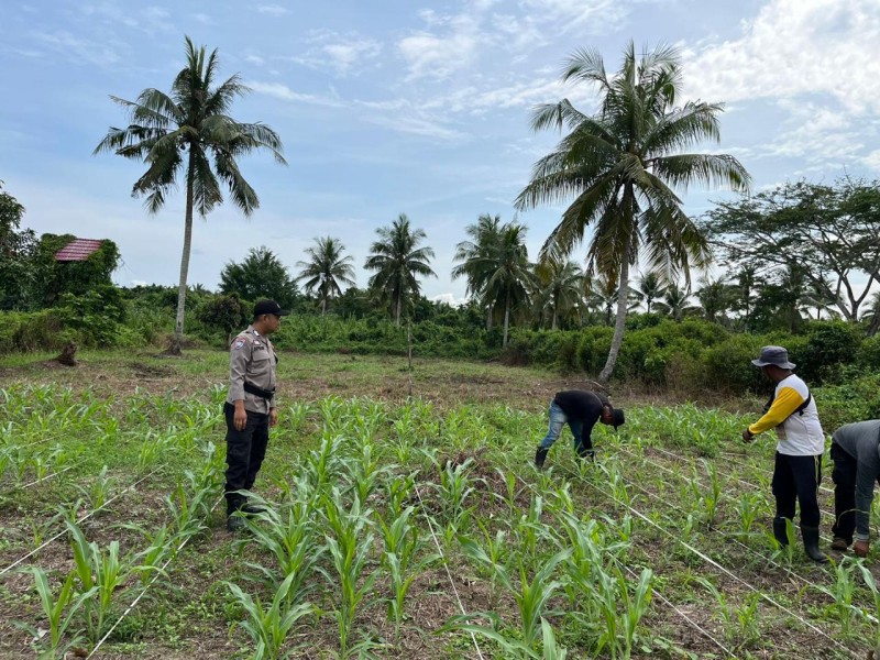 Polri Terus Kawal Program Ketahanan Pangan di Desa Pulau Palas