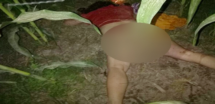Dokter Ungkap Hasil Otopsi Lailatin Nadiroh, Wanita Dua Suami yang Tewas di Kebun Jagung