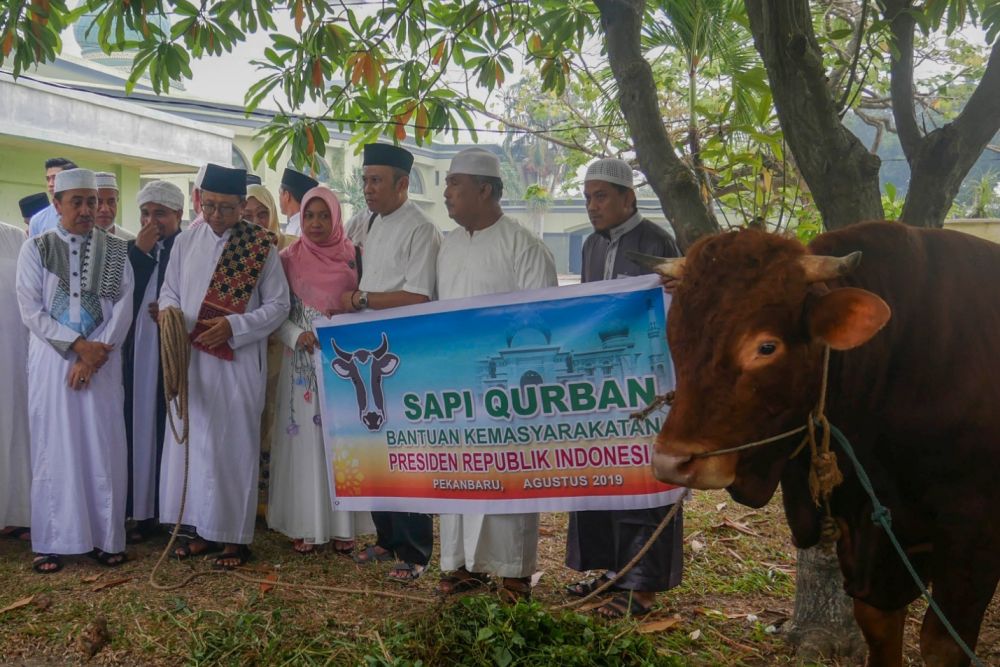 Masjid Raya Annur Riau Tahun Ini Potong 20 Ekor Hewan Kurban