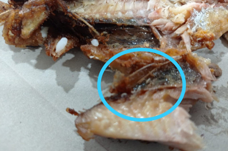 Dijatah Makan Siang Pasien COVID-19 di Inhil Ditemukan Belatung