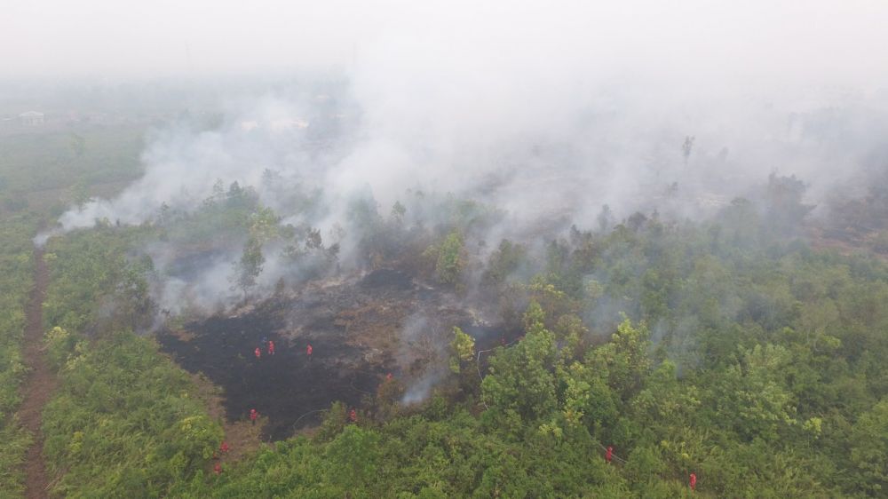 Polda Riau Tetapkan 66 Persangka Karhutla