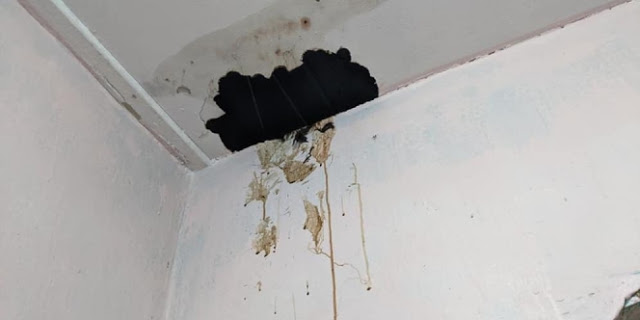 Air Merah Kehitaman Menetes dari Plafon Dikira Karat, Ternyata...