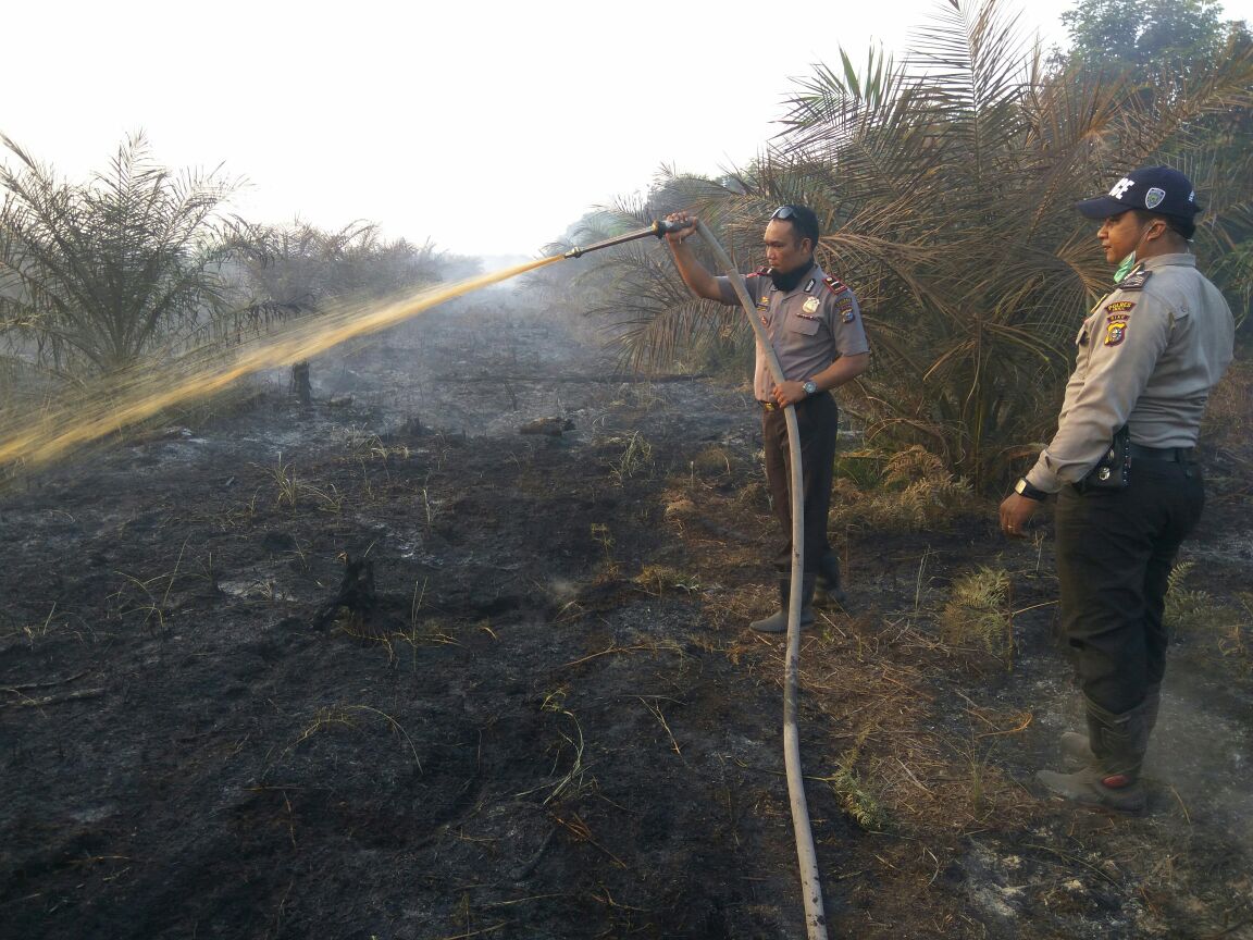 30 Hektare Lahan Pribadi dan Perusahaan Terbakar di Indragiri Hilir