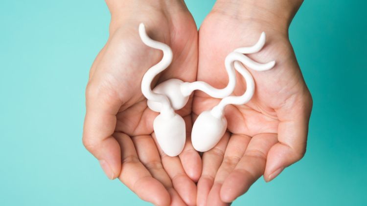 Sperma yang Sehat Rasanya Manis? Ini Kata Pakar