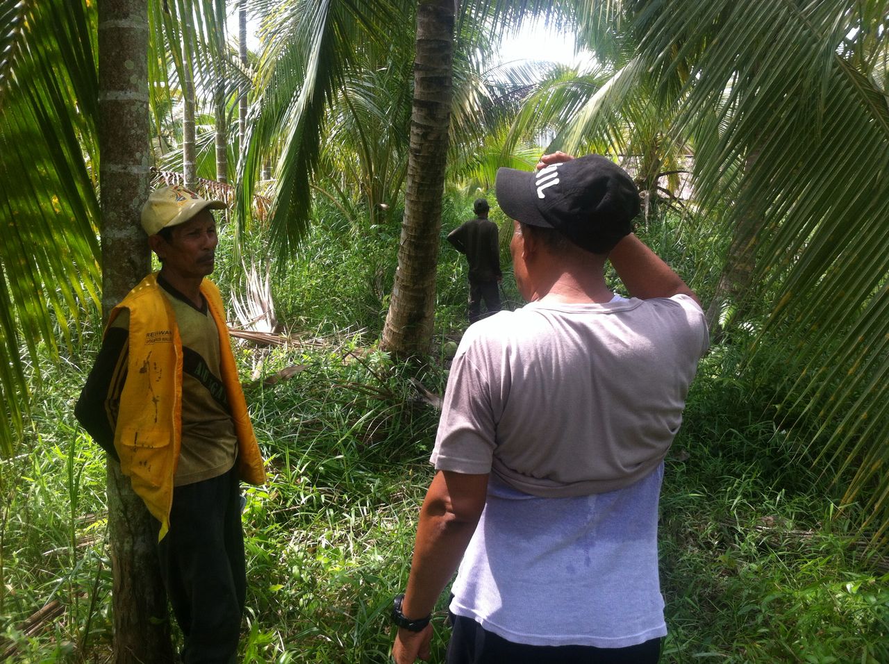 Warga Heboh, Ada Mayat di Kebun Kelapa di Teluk Pinang