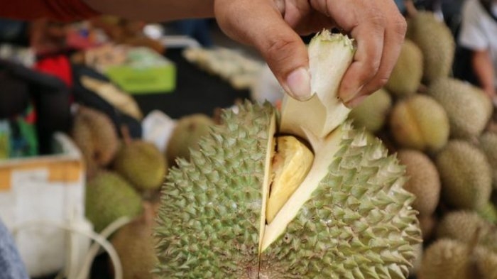 Karena Durian, Hubungan Sejoli Ini Berakhir di Penjara