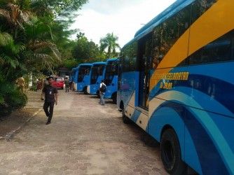 Dapat Tambahan 10 Bus, Dishub Belum Akan Rekrut Karyawan Baru