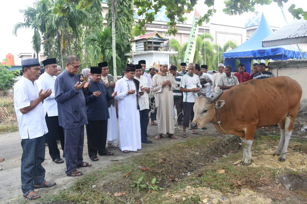 Total Hewan Kurban Idul Adha 1440 H di Kabupaten Bengkalis 2.671 Ekor