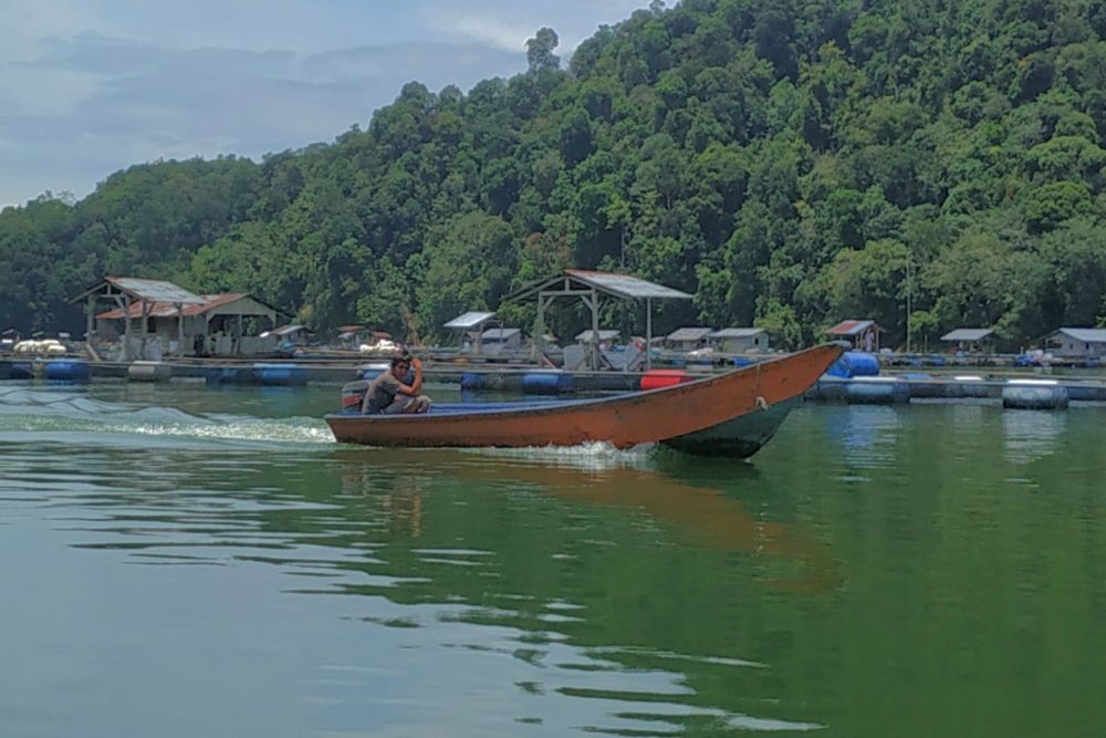 Potensi Perikanan di Riau Masih Cukup Tinggi, Begini Penjelasannya
