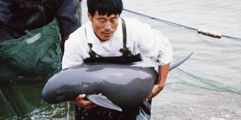 Di Cina, Santap Hewan Langka Siap-siap Dipenjara