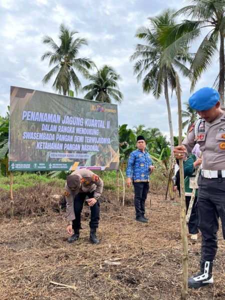 Desa Pekan Kamis Kembali Tanam Jagung untuk Perkuat Ketahanan Pangan