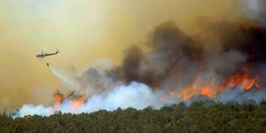 Kebakaran Lahan Dan Hutan di Pesisir Riau Masih Membara