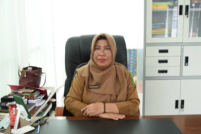 Dinkes Inhil Ingatkan Tentang Pentingnya Pemeriksaan Rutin Ibu Hamil