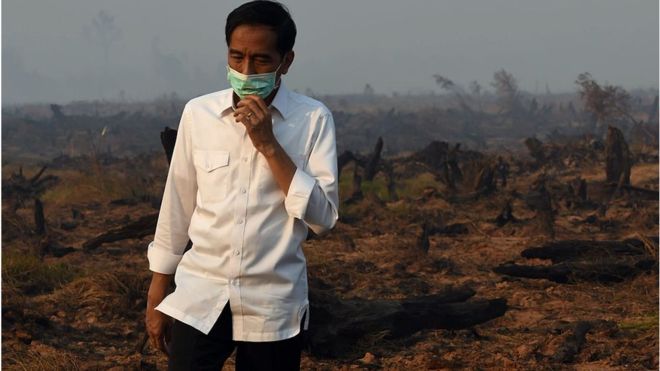 Kasasi Ditolak MA, Jokowi Diminta Segera Umumkan Perusahaan Pembakar Hutan