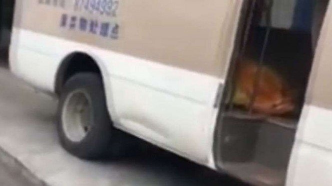 Geger Video Tumpukan Mayat Corona COVID-19, Polisi China Mengganas