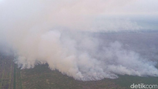 44 Titik Api Penyebab Udara Buruk di Riau