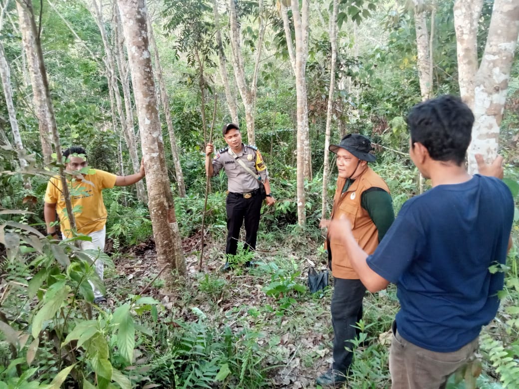 Petani Karet di Riau Diterkam Beruang, Tangan Patah Tubuh Luka-luka