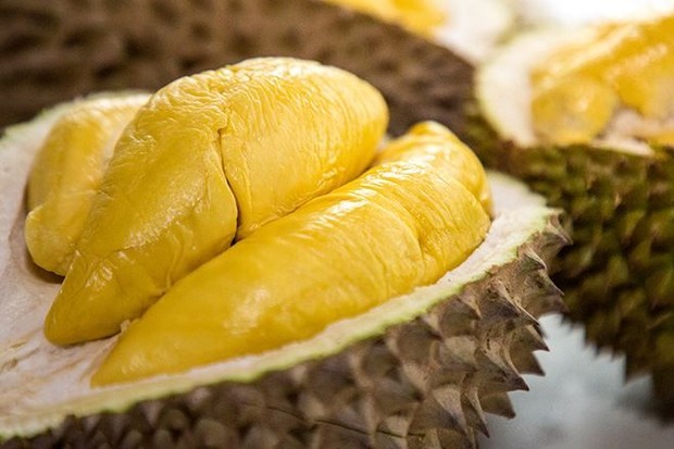 Harga Durian di Korea Selatan Rp800 Ribu, Warganet: Segitu Bisa Beli Emas
