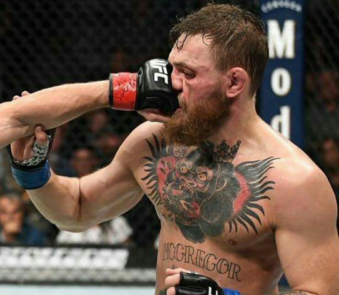 Foto ‘Tinjuan Maut’ Khabib saat Tumbangkan McGregor Ini Viral di Medsos