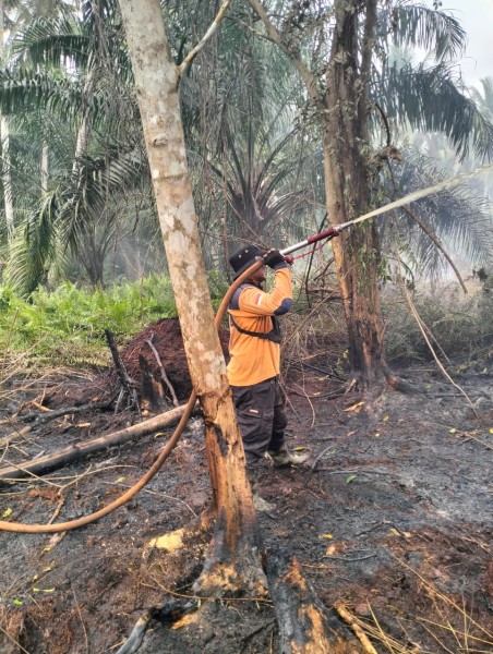 Inhil Siaga Darurat Karhutla, Kalaksa R. Arliansah Perintahkan Tim TRC Pantang Pulang Sebelum Api di Tempuling Padam