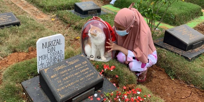 Kisah Seekor Kucing yang Dibawa Ziarah ke Makam Pemiliknya