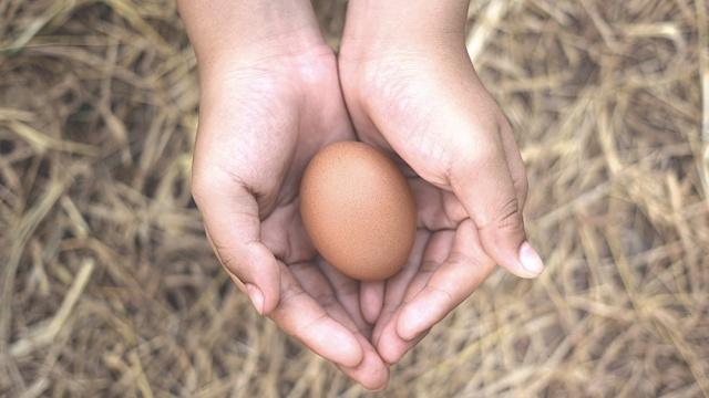 Sebutir Telur Sehari untuk Menjaga Kesehatan Jantung