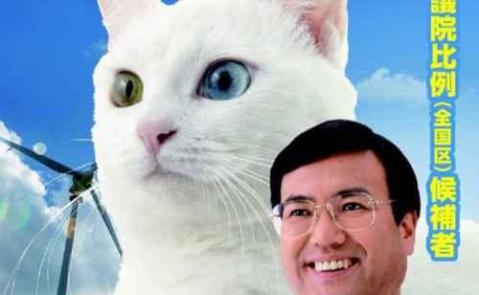 Kucing Jadi Maskot Kampanye Politikus Jepang