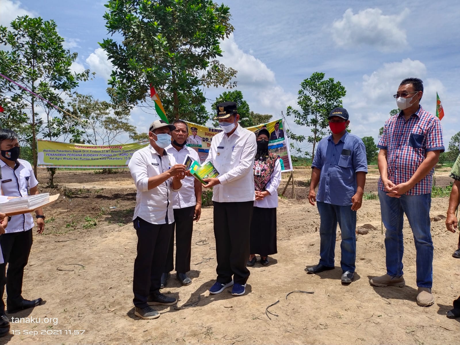 Komoditi Porang Tanam Perdana di Kota Pekanbaru