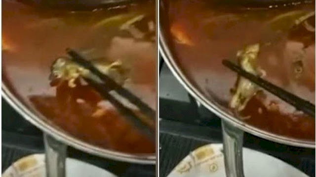 Ibu Hamil Makan Sup Tikus Mati, Pihak Resto Beri Rp43 Juta untuk Gugurkan Kandungan