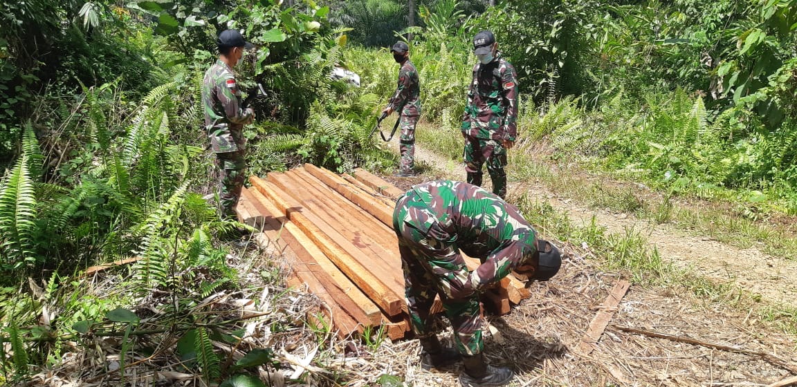 Laksanakan Patroli, Satgas Yonif 642/Kapuas Amankan Kayu Hasil Illegal Logging di Wilayah Perbatasan