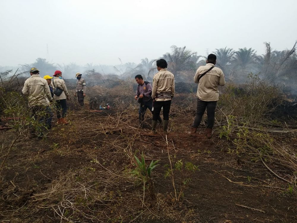 KLHK: 49.266 Hektare Lahan Terbakar di Riau, Sebagian Besar Gambut
