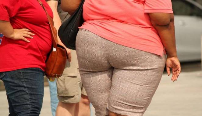 Rutin Konsumsi Serat, Cara Ampuh Hindari Obesitas