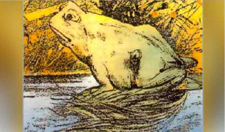 Pilih Kodok atau Kuda? Berikut Jawaban Tes Psikologi Untuk melihat Kekuatan dan Kelemahan Anda