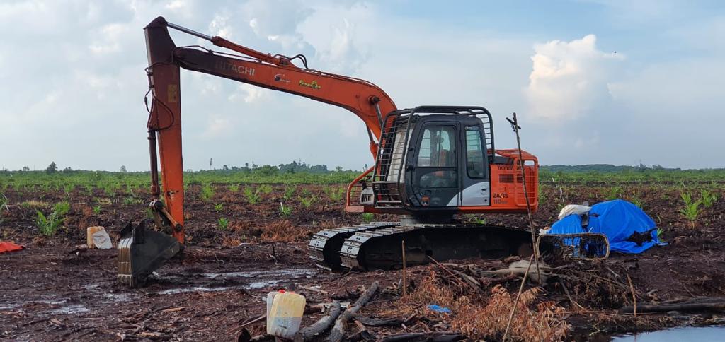 Ditreksmsus Polda Riau Tangkap Satu Pelaku Penggarap 60 Hektar Lahan HPT