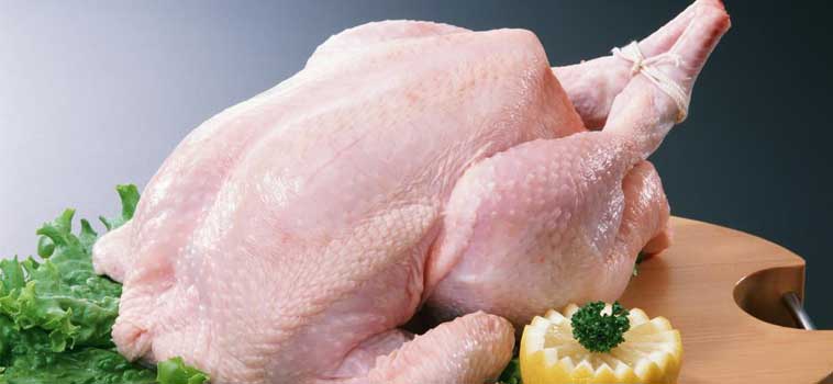 Mau Panjang Umur? Hindari Makan 7 Bagian Tubuh Ayam Ini