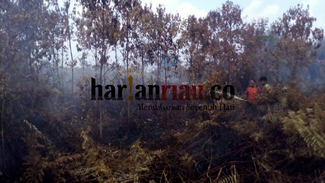 40 Ha Lahan Terbakar, Polsek Bangko : Indikasi Sengaja Dibakar