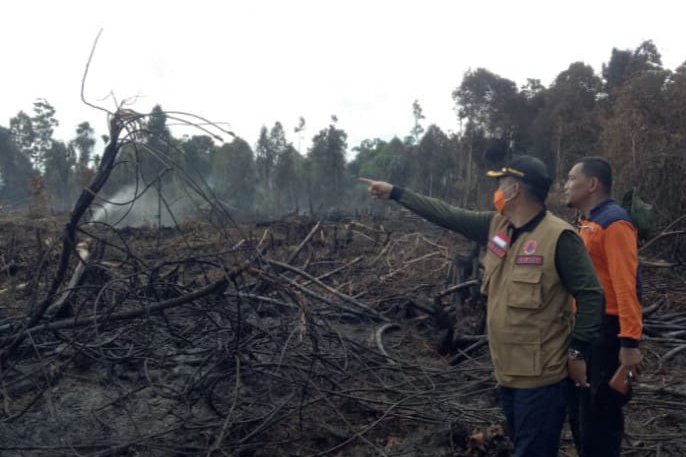 Polisi Tetapkan 3 Orang Tersangka Kebakaran Hutan Lindung Bukit Suligi
