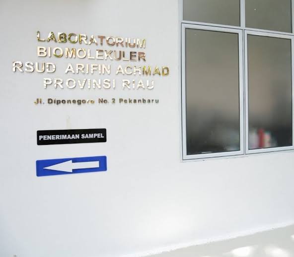 Pemprov Sudah Bertindak Extra Ordinary, Periksa sample Swab capai 1.700 Perhari