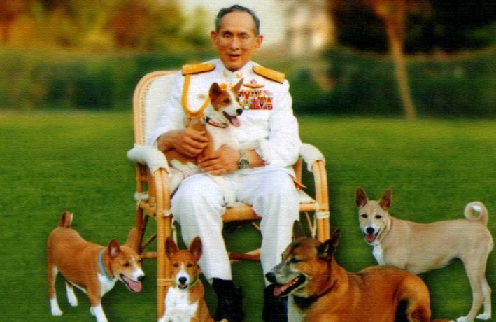Raja Thailand Bhumibol Adulyadej Tutup Usia