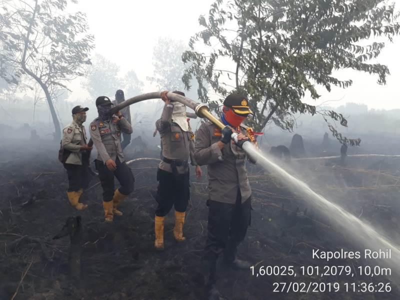 35 Hektar Lahan Gambut Semak Belukar Terbakar di Rokan Hilir