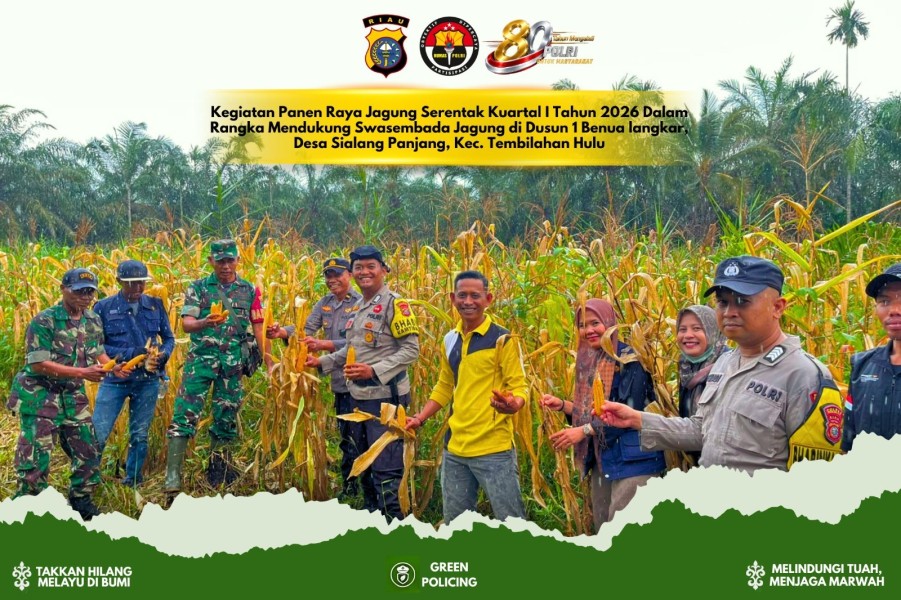 BUMDes Sakinah Jadi Motor Ketahanan Pangan di Desa Sialang Panjang