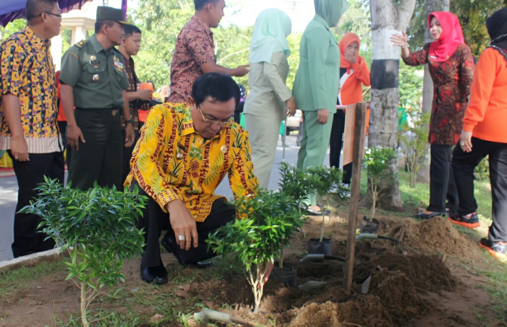 HM Wardan Harapkan Inhil yang Asri, Hijau dan Indah